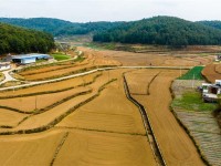 云南施甸：联农带农、利益联结发展壮大村集体经济