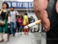 娇子(格调短支)多少钱一包？娇子(格调短支)多少钱一包2024？