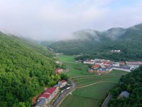 天子(五粮香30年)多少钱一包？天子(五粮香30年)价格表一览