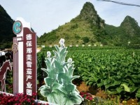 卡比龙(总裁俄罗斯精装版)价钱批发 卡比龙(总裁俄罗斯精装版)多少钱一包2024？