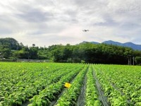 红塔山(新时代)价格表图一览表 红塔山(新时代)香烟价格表2024