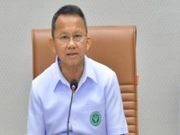 延安(青春岁月新版)价格表图一览表 延安(青春岁月新版)什么价格？