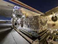 卡比龙(总裁硬白荷兰版)价格表图一览表 卡比龙(总裁硬白荷兰版)什么价格？
