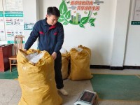 广西鹿寨烟草：“绿”动物流 “智”绘新篇