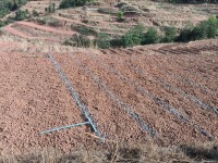 云南丽江古城区：科学培肥沃土 助力山区农业提质增收