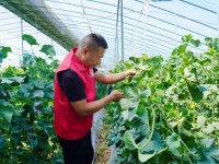 山东沂南县：服务“零距离”助农“点对点”